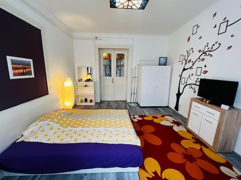 Szeged Apartment المظهر الخارجي الصورة
